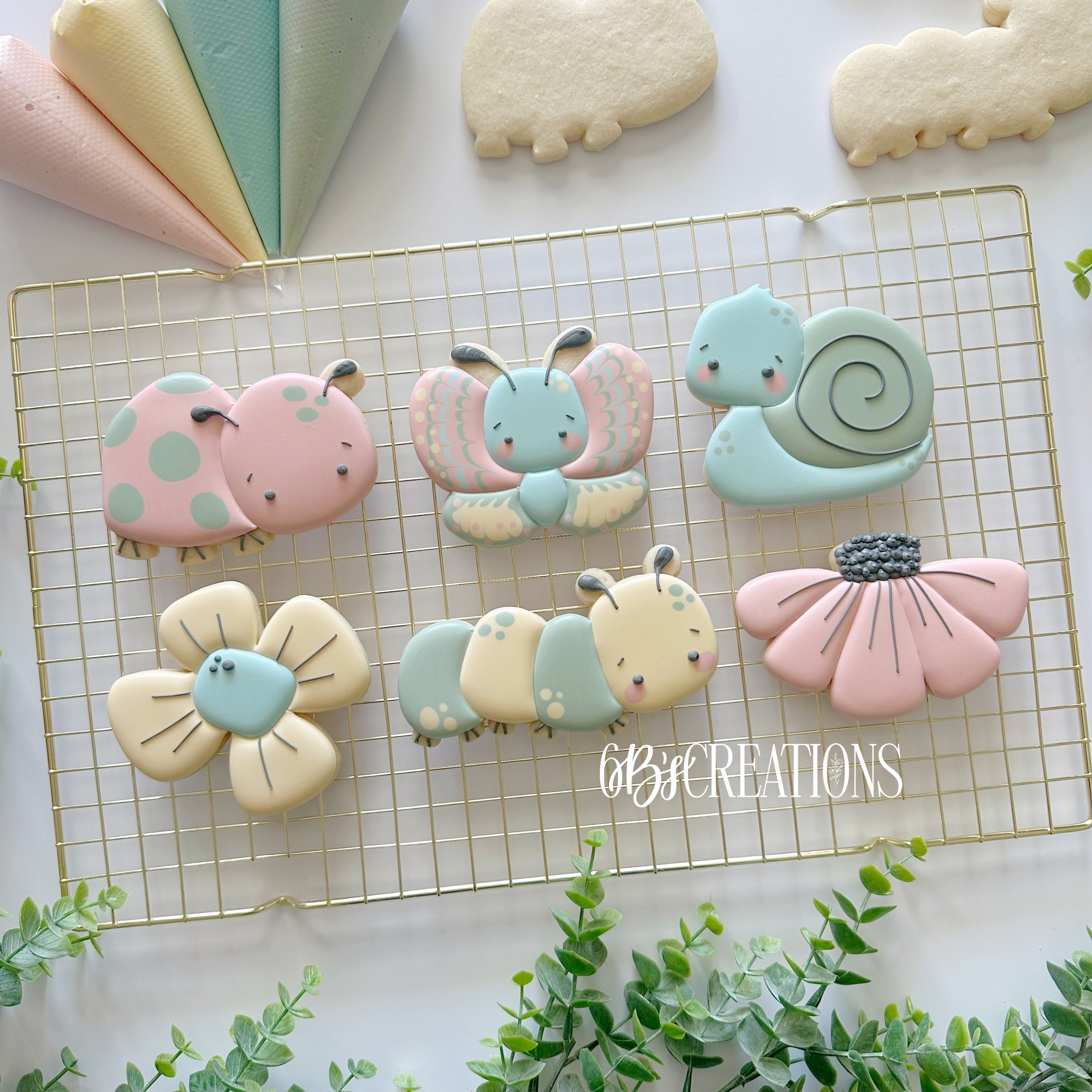 Blooms and Bugs 2026 - Stencils (6 pack - all cookies) – 6 B's Creations