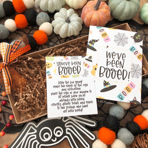 Halloween Cookie Kits - Box and Accessories - Pick up Friday, October 23rd